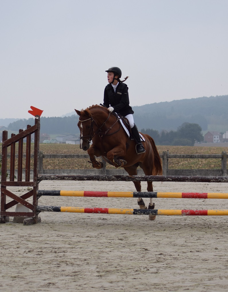 (p. Wapiti vh Vitseroel – naisseur: Poney Club du Forbot à B-5590 Jannée) 