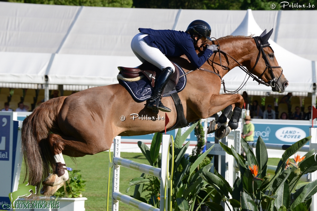 VENUE D’FEES DES HAZALLES (E.O.) (Président/Alcatraz – breeder: D. Lamette, B-6940 Barvaux-sur Ourthe) ridden by Fabienne Daigneux-Lange (BEL)